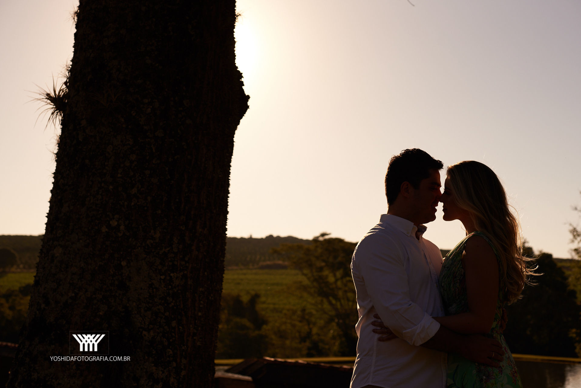 Foto Ensaio Marina e Guilherme - Imagem 19