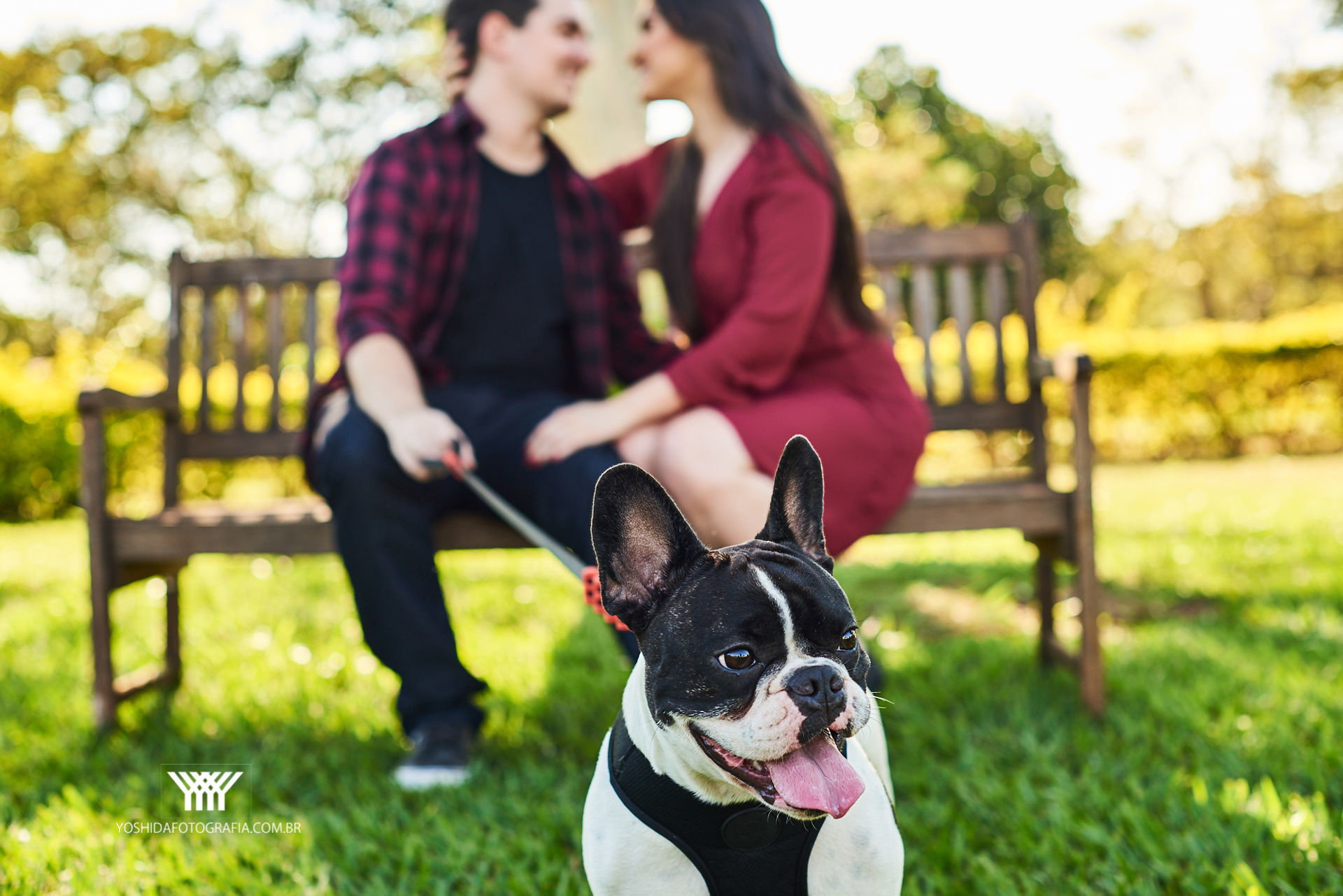 Foto Ensaio Bianca e Tadeu  - Imagem 0