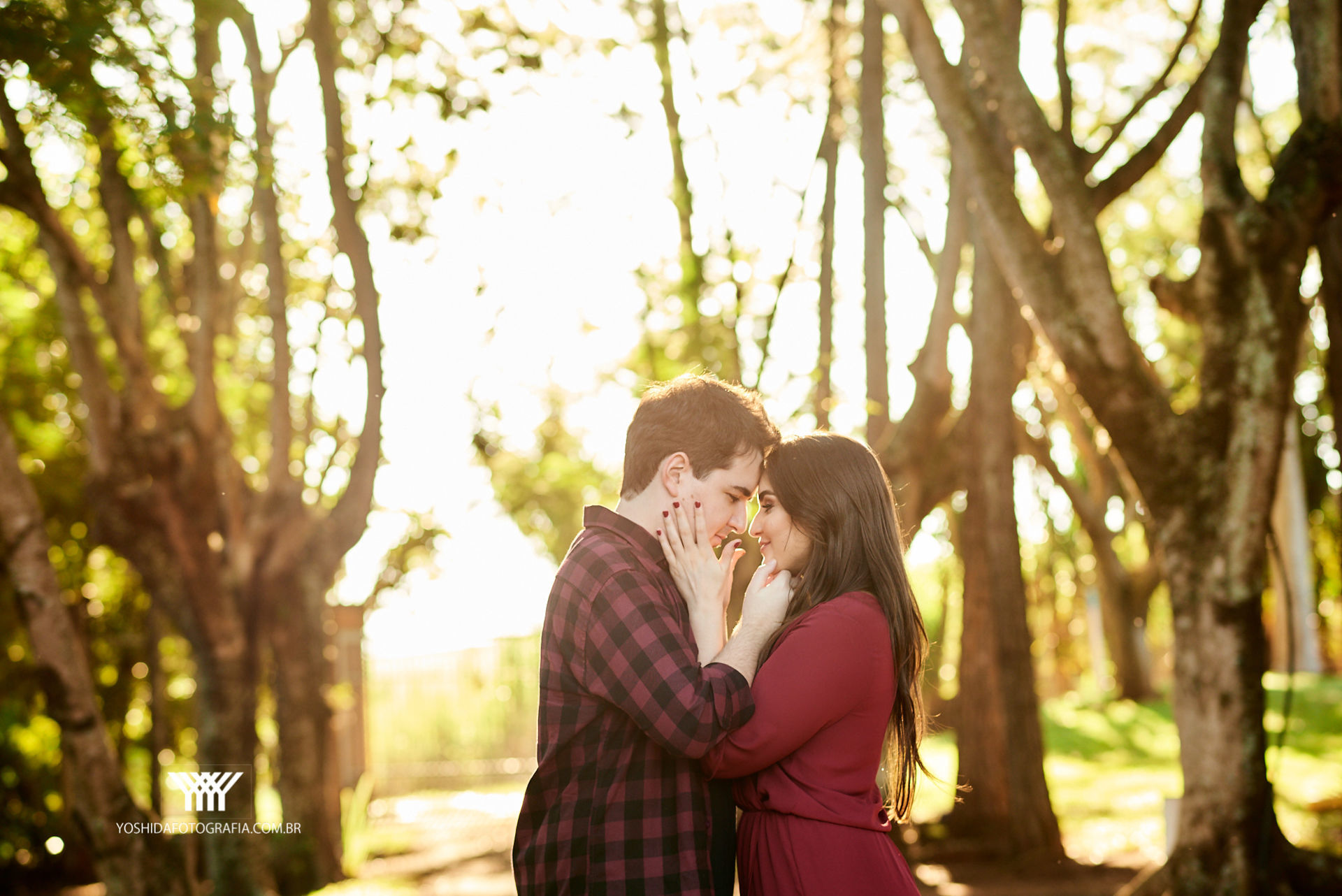 Foto Ensaio Bianca e Tadeu  - Imagem 11