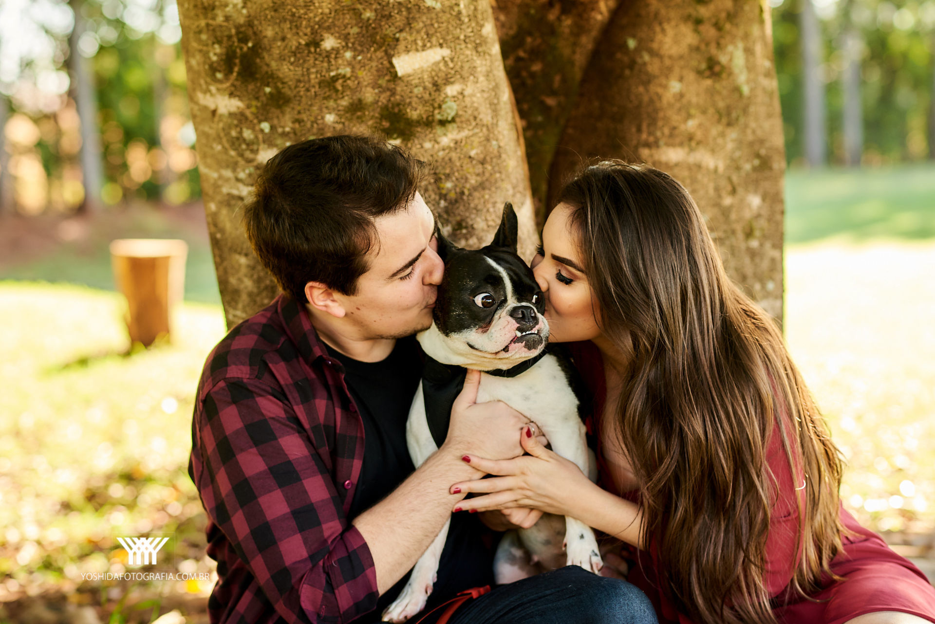 Foto Ensaio Bianca e Tadeu  - Imagem 1