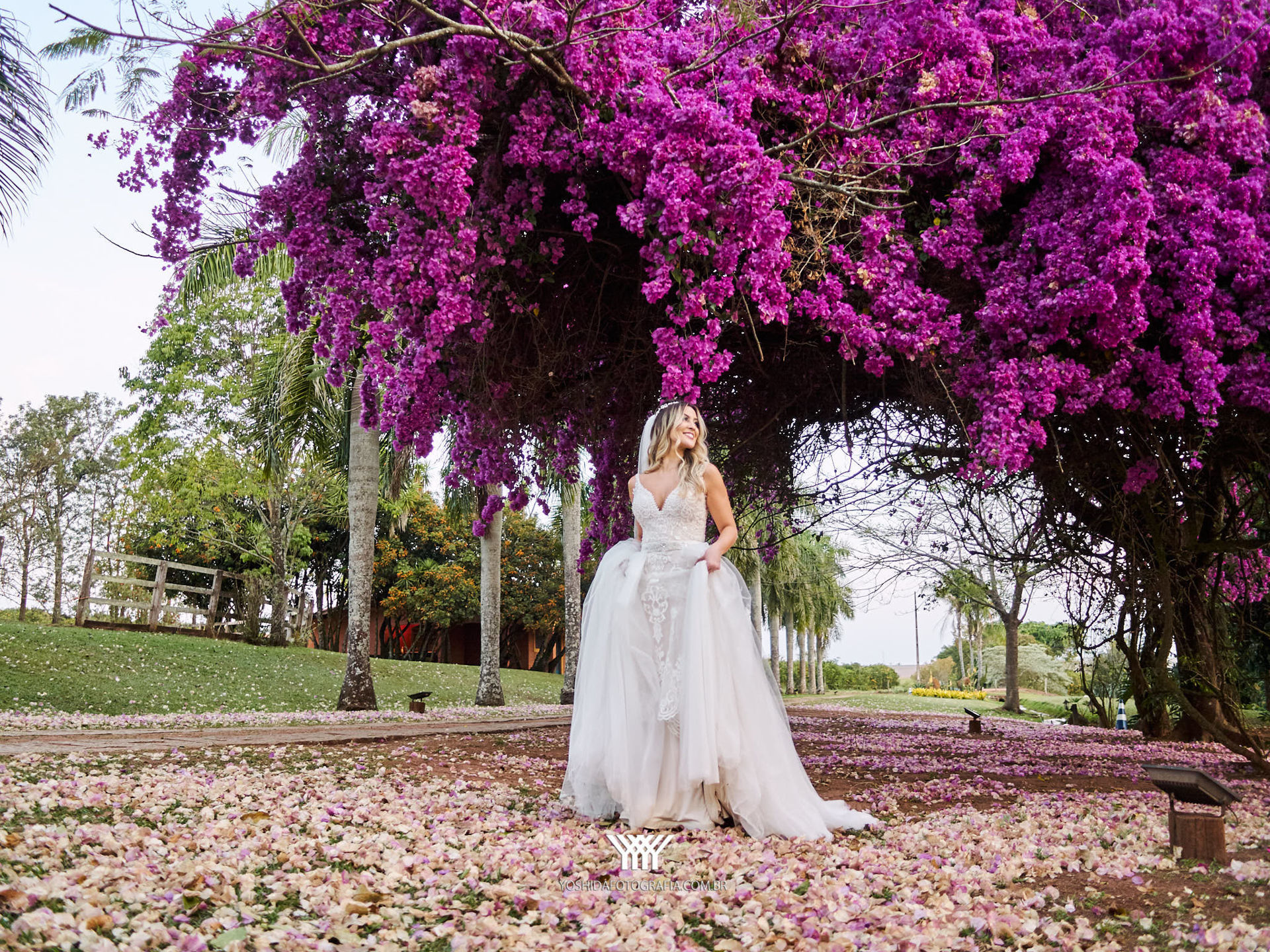 Foto Casamento Marina e Guilherme Foto Casamento Marina e Guilherme - Imagem 137