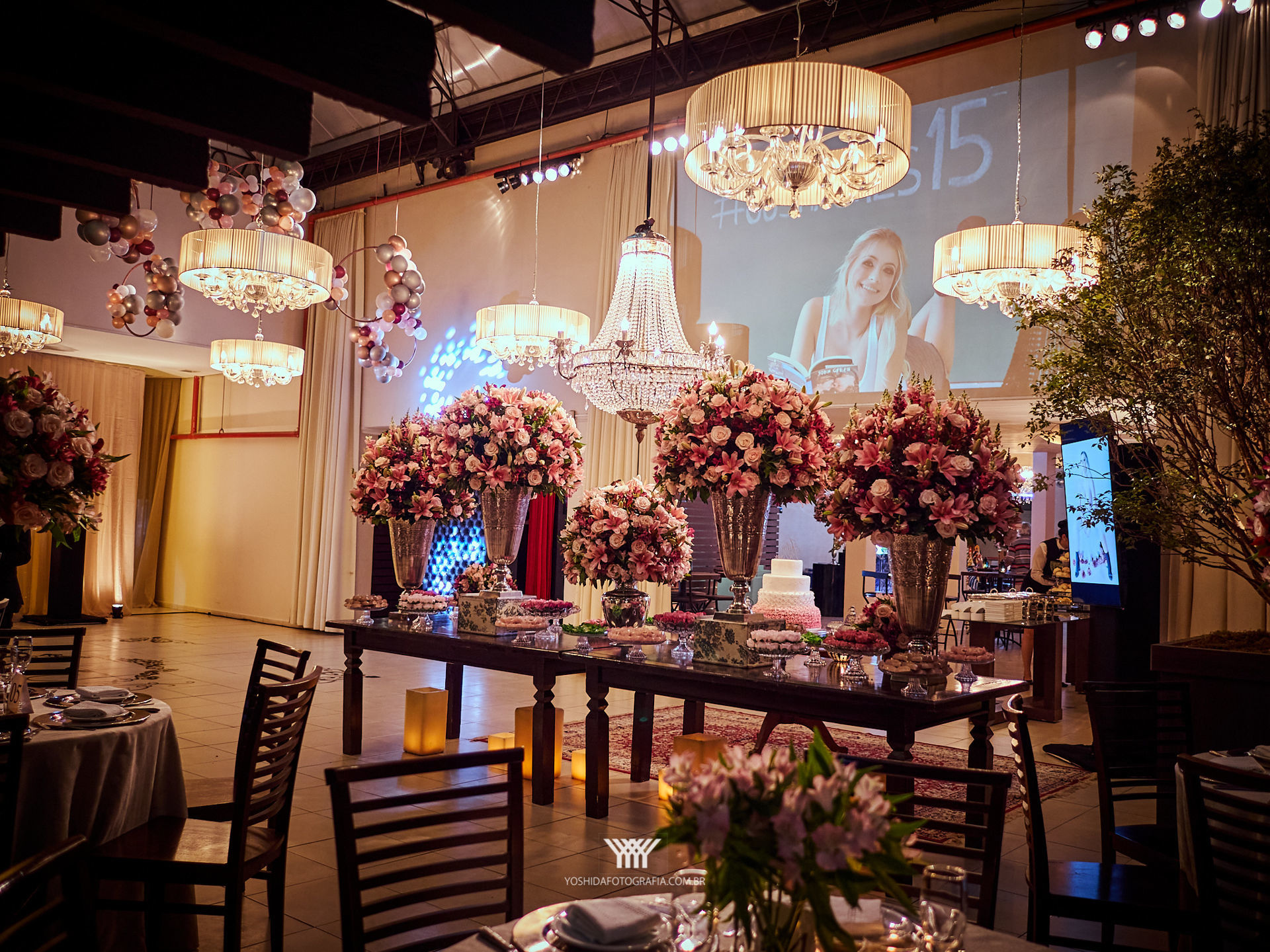 Foto Julia Sanches 15 anos  - Imagem 15