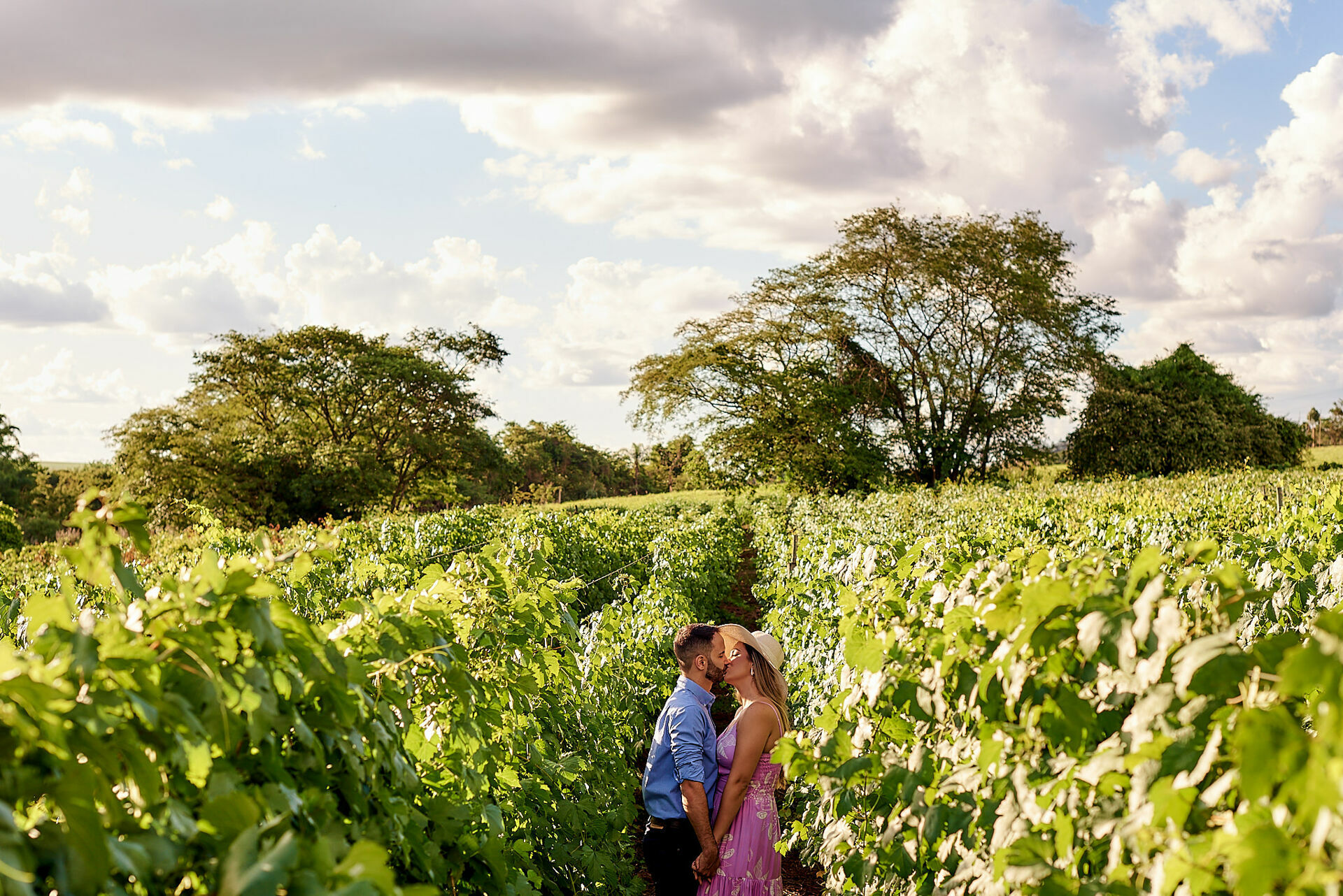 Foto Ensaio perfeito na Vinicola  - Imagem 23