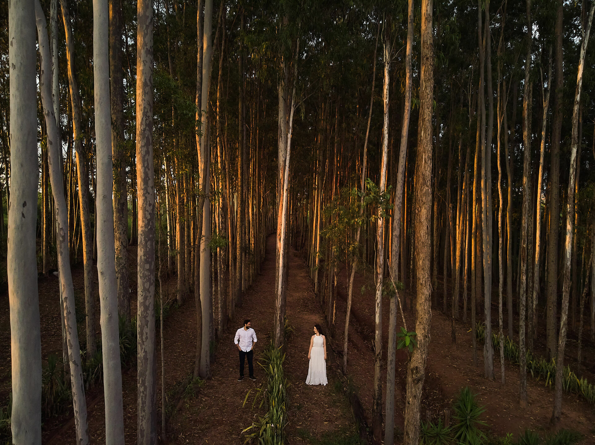 Foto Ensaio Bruna e Ícaro - Imagem 27