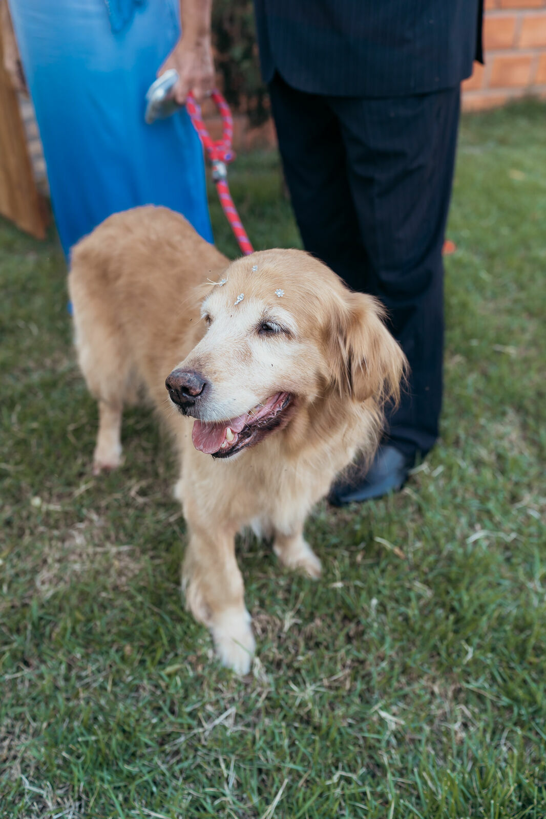 Foto Carol & João - Wedding day  - Imagem 16