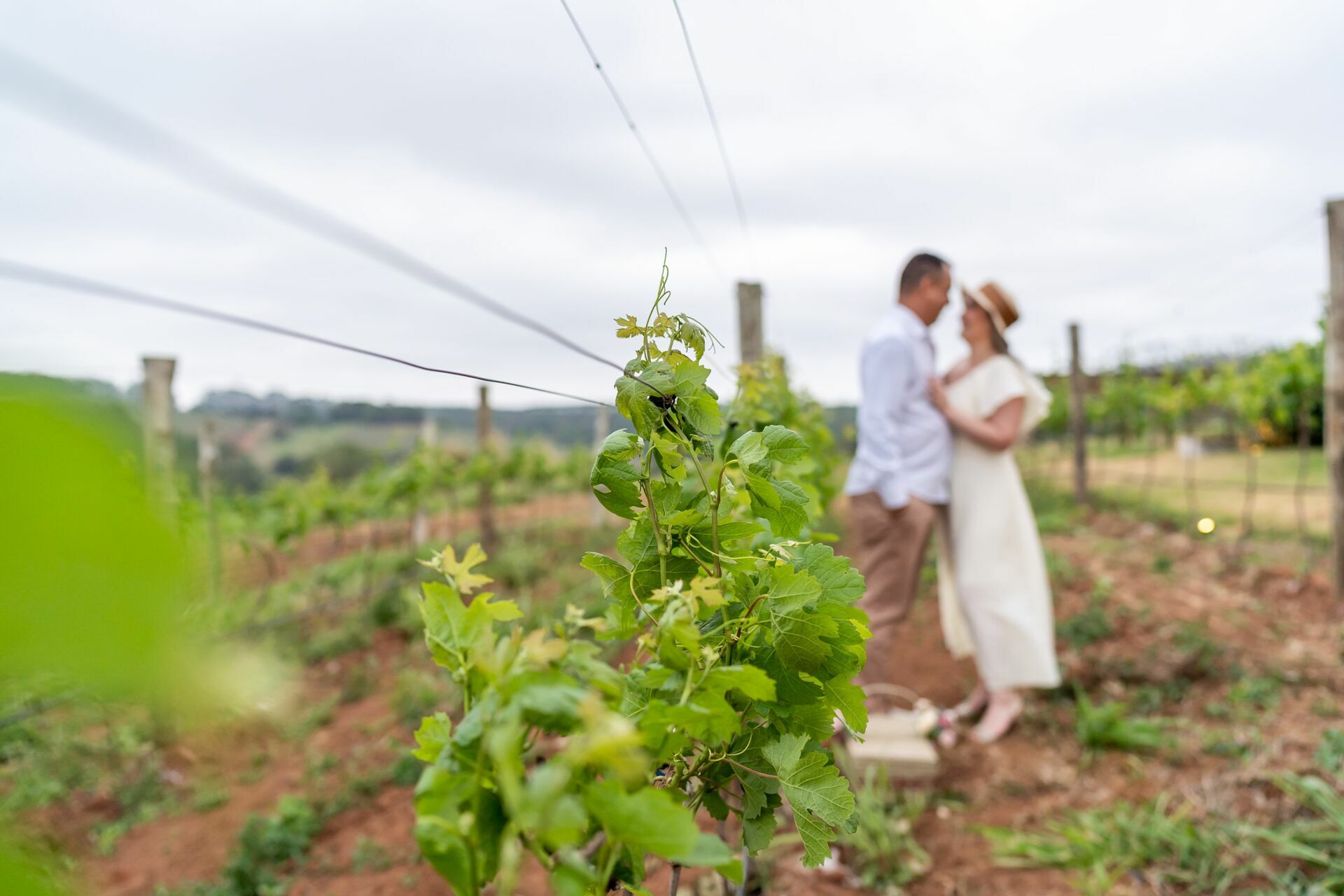 Foto Ensaio Larissa e Rogério - Imagem 15