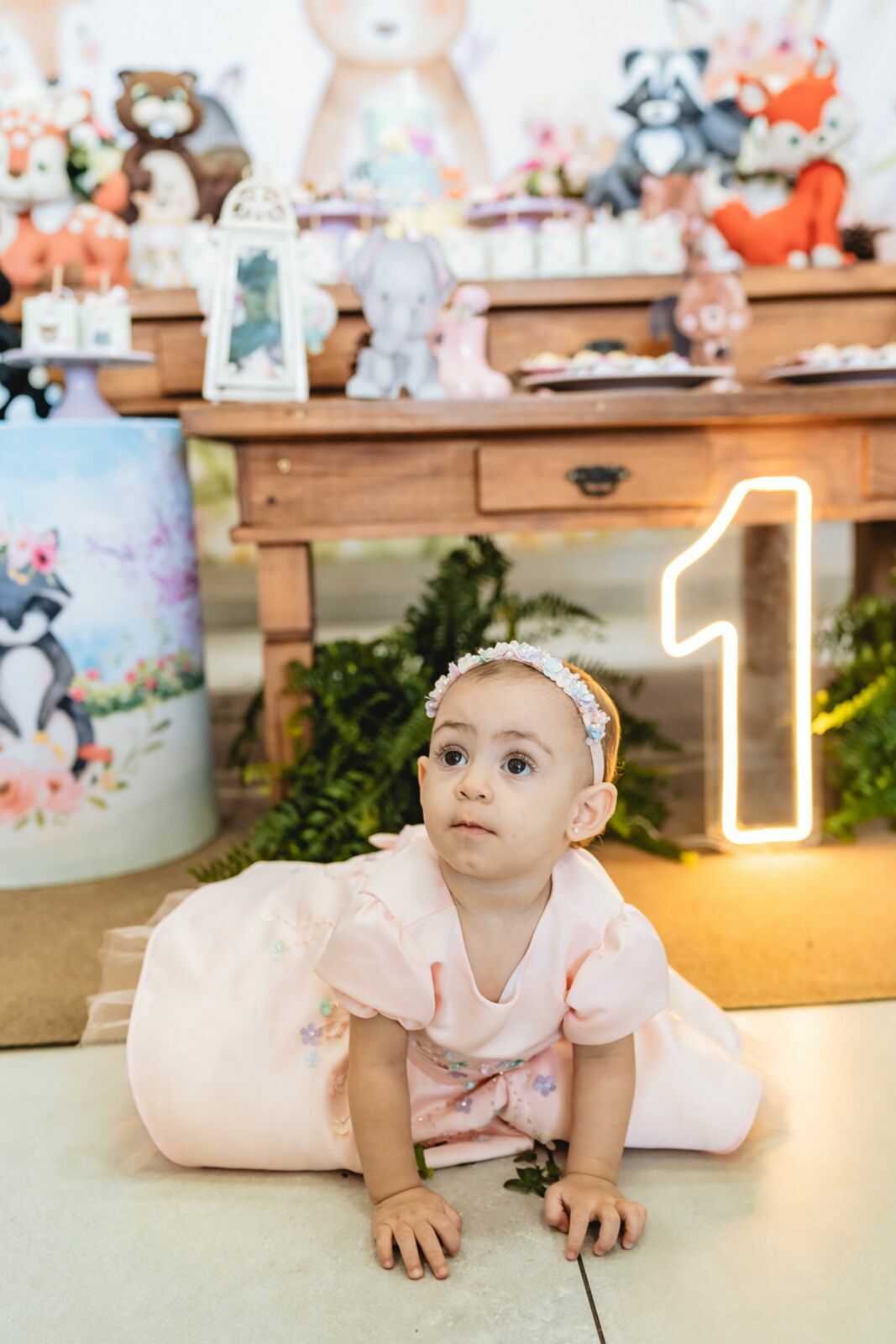 Foto Valentina 1 ano  - Imagem 22