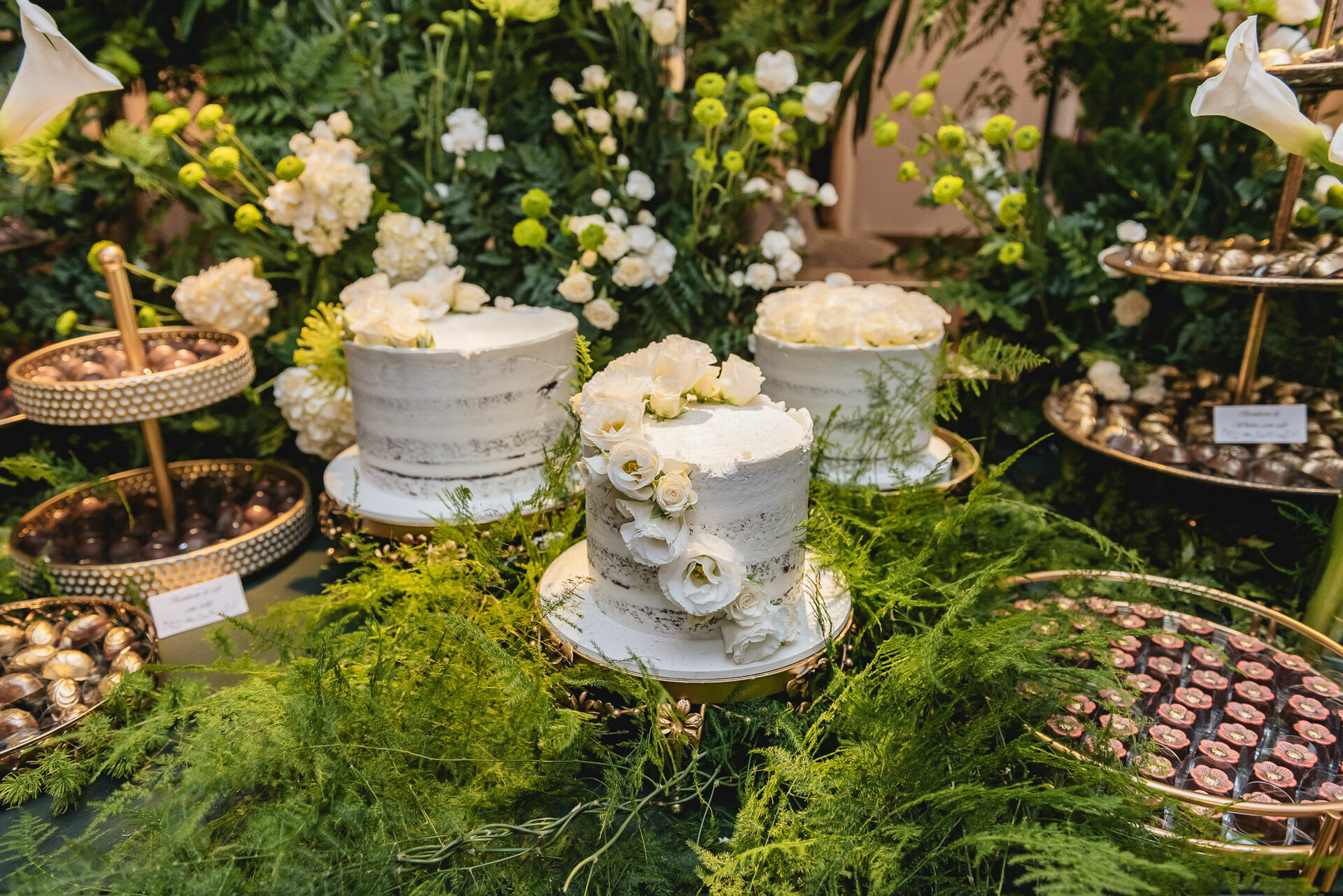 Foto Casamento Thaina e Diego - Imagem 112