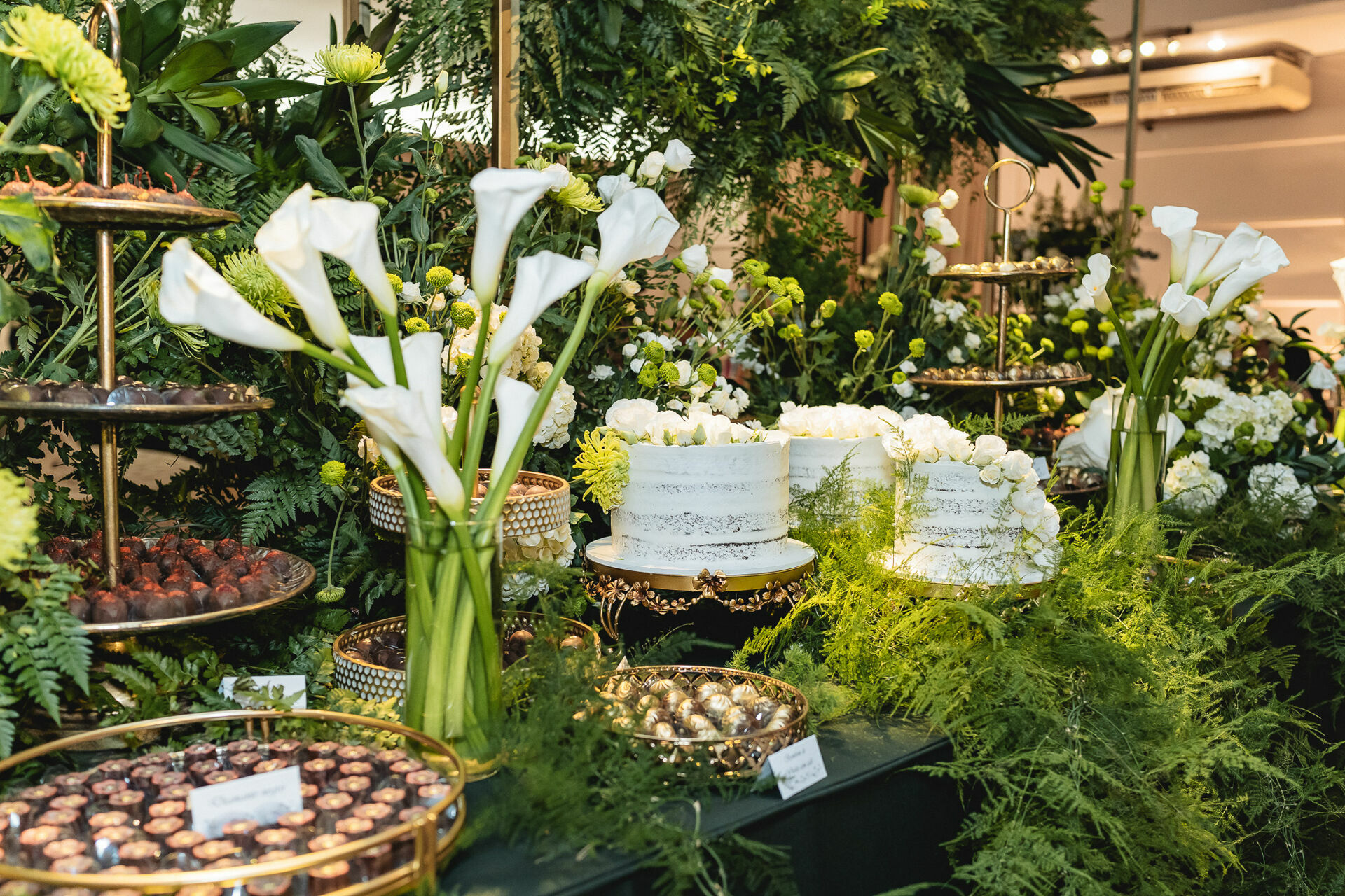 Foto Casamento Thaina e Diego - Imagem 170