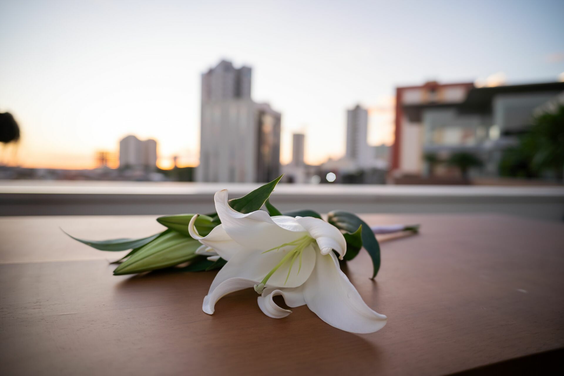 Foto Ensaio Alicia e Daniel - Imagem 21