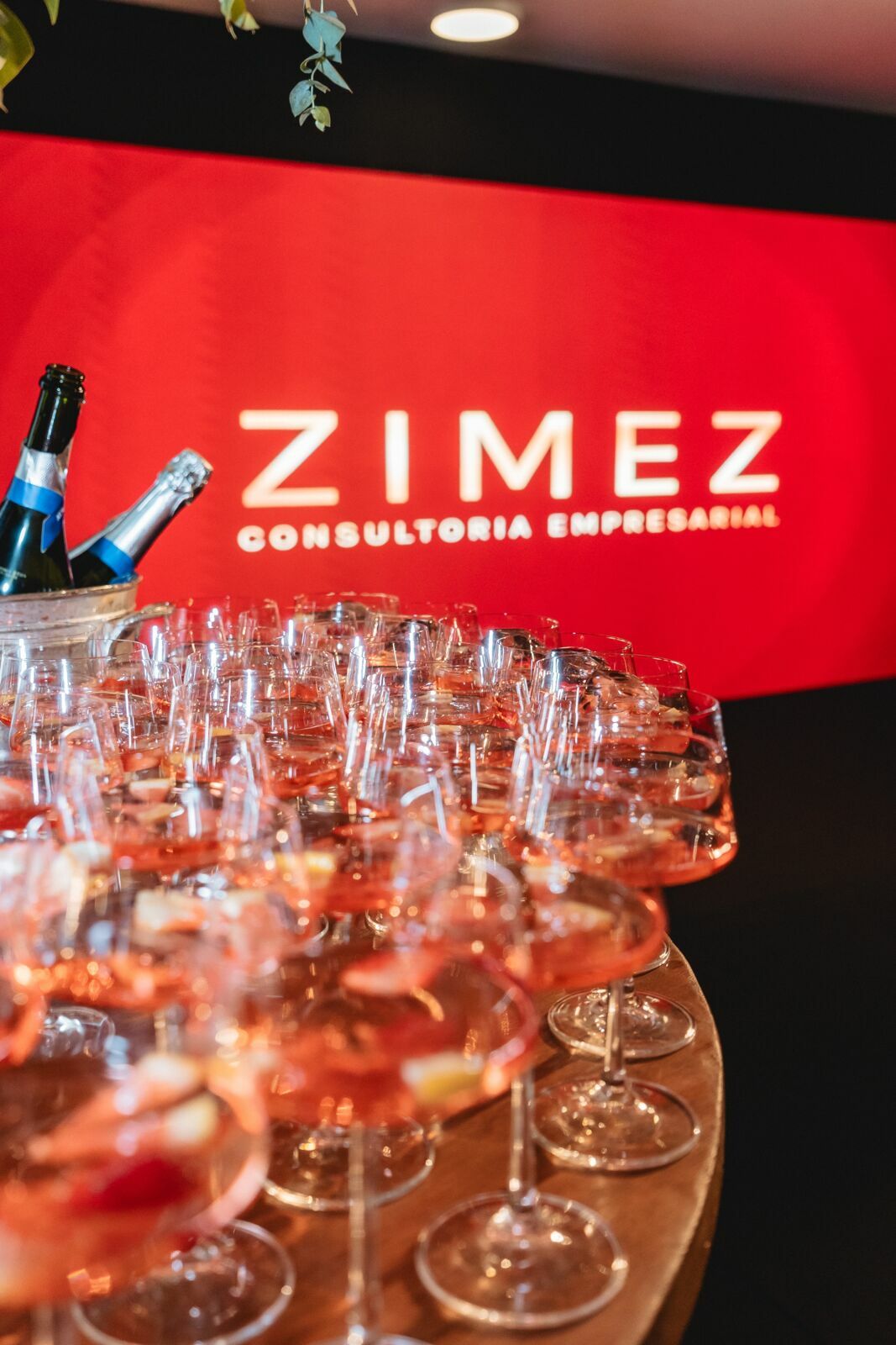 Foto Zimez 10 Anos Foto Zimez 10 Anos - Imagem 10