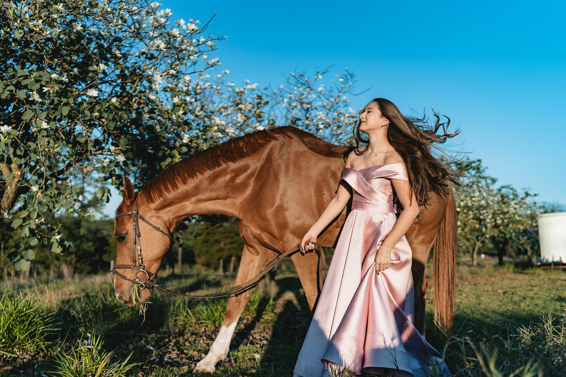 Foto Liz Ensaio - Imagem 13