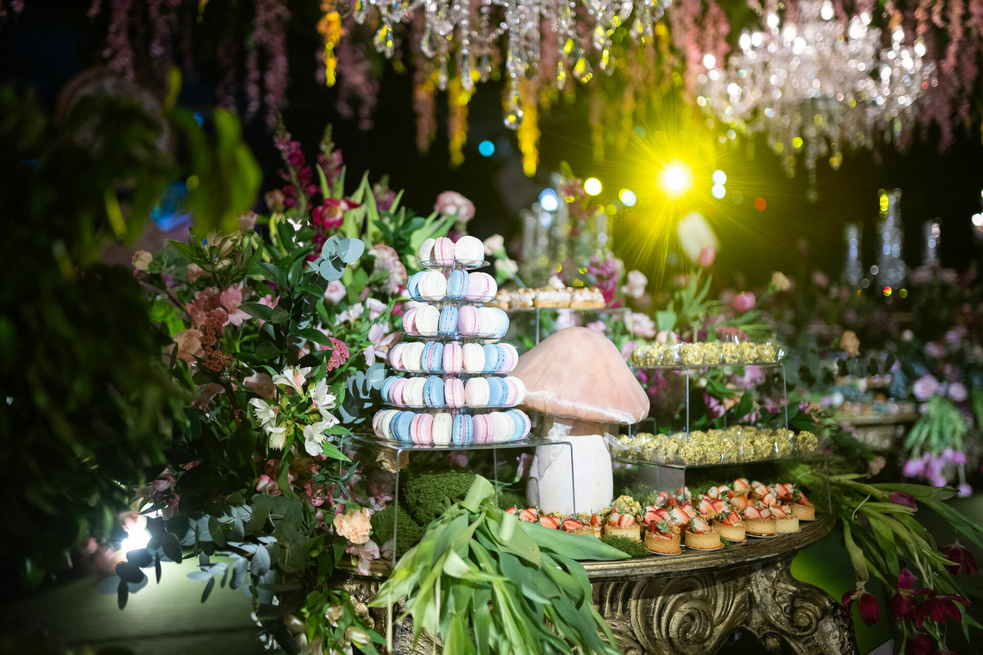 Foto Alice 15 Anos  - Imagem 12