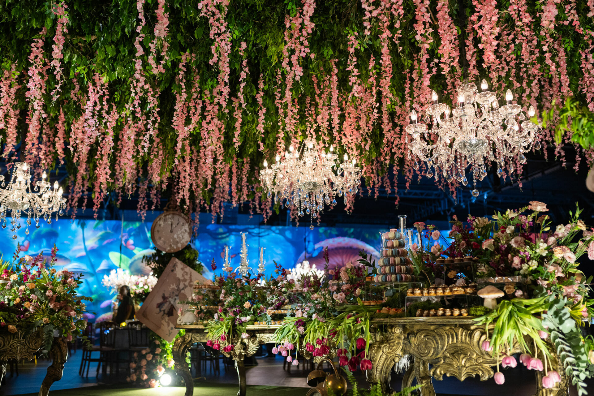 Foto Alice 15 Anos  - Imagem 13