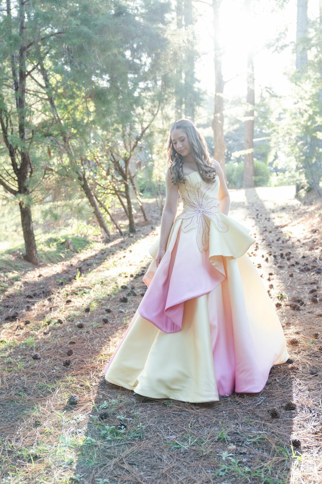 Foto Liz 15 Anos - Imagem 7
