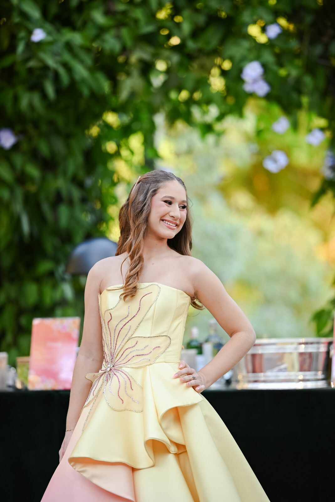 Foto Liz 15 Anos - Imagem 14